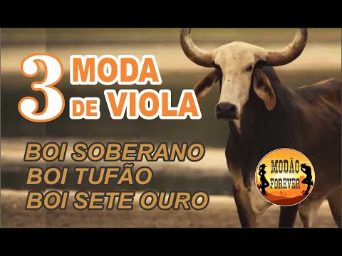 3 Moda de Viola | Boi Soberano - Boi Tufão - Boi Sete Ouro