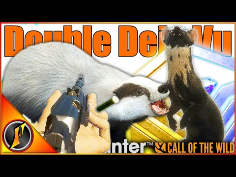 GOLD Rare Badger + Pine Marten Deja Vu in Scotland! theHunter Call of the Wild!
