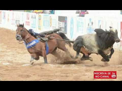 Zé de Almeida (valeu sim senhor)