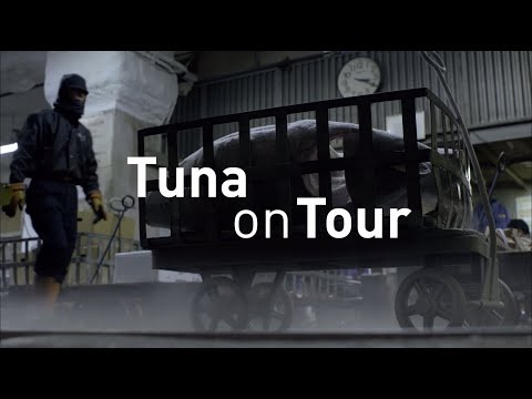 Thunfisch auf Tour: Tokios Fischmarkt zieht um (ARTE/NDR 2019; engl. Festivalfassung)