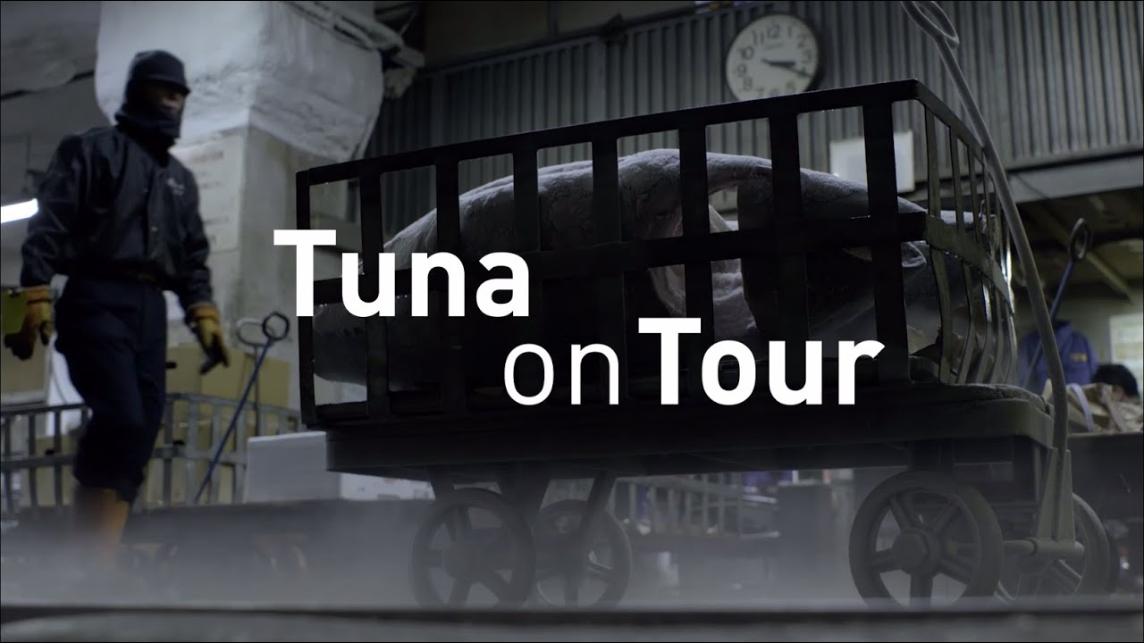 Thunfisch auf Tour: Tokios Fischmarkt zieht um (ARTE/NDR 2019; engl. Festivalfassung)