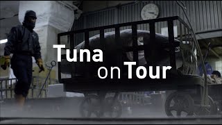 Thunfisch auf Tour: Tokios Fischmarkt zieht um (ARTE/NDR 2019; engl. Festivalfassung)