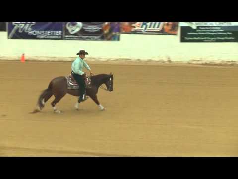 Electrci Express_Andrea Fappani