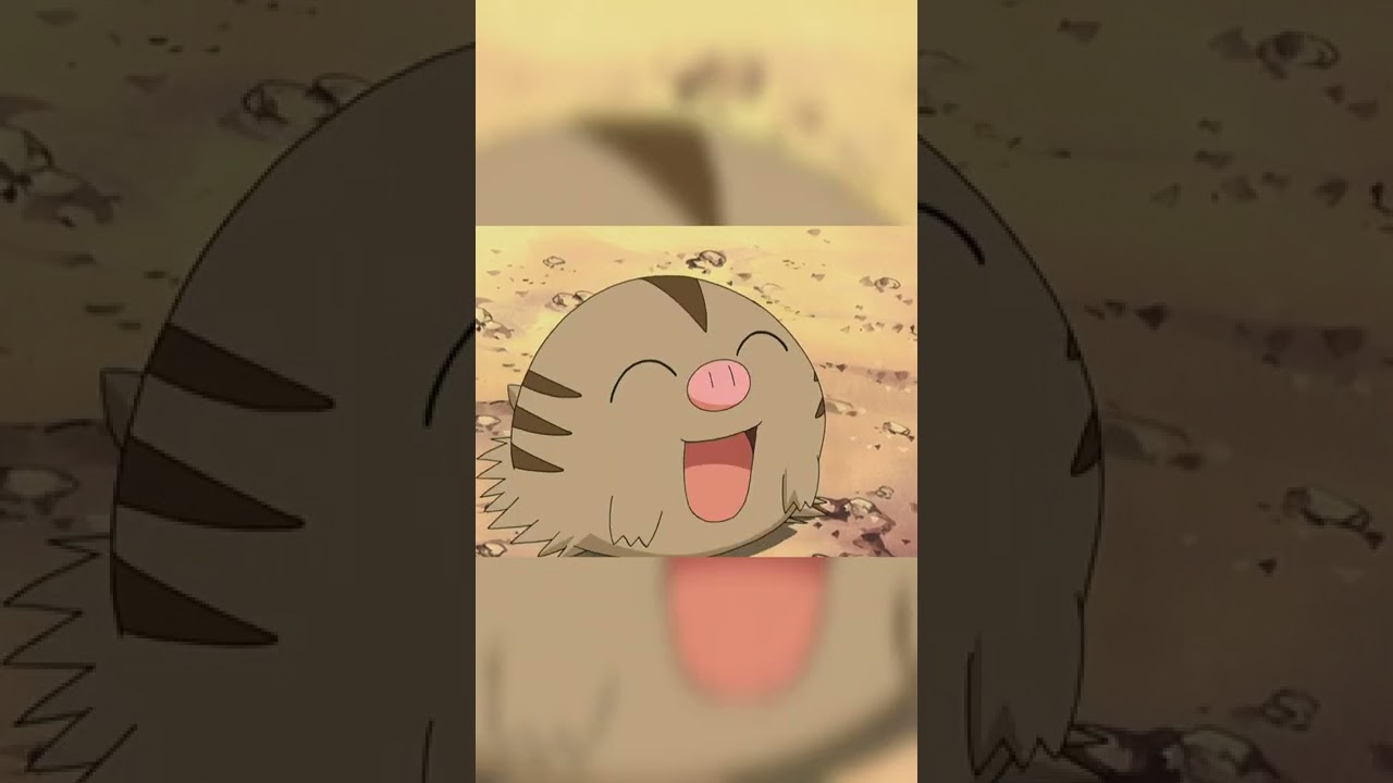 Dawn catches a Swinub