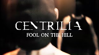 Fool on the Hill