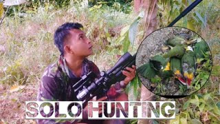 Solo Hunting