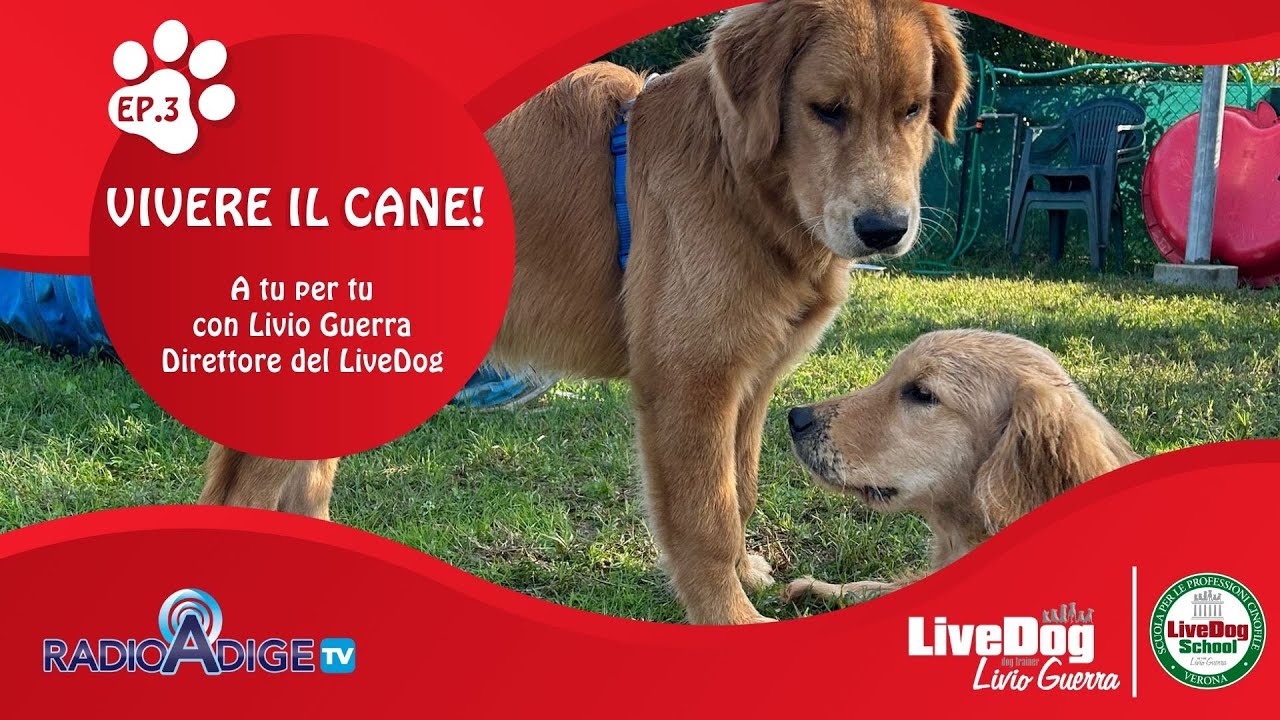 Descrizione dell'immagine