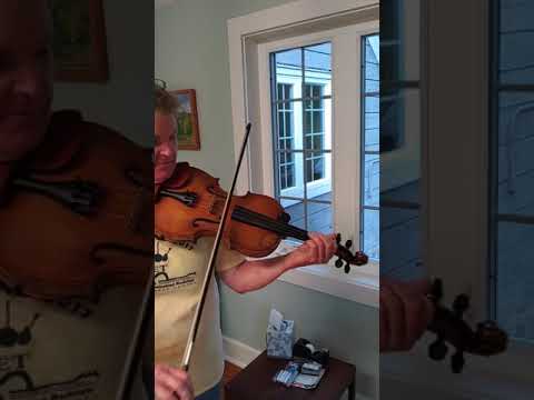 Squirrel Heads and Gravy, fiddle