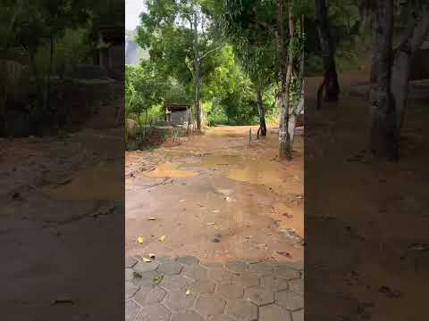 Muita Chuva em Santa Rita do Itueto MG