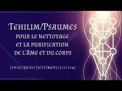 Tehilim/Psaumes: Nettoyage et Purification de l'Âme et du Corps contre les souillures des Qlipoth