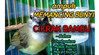 Download lagu Suara Cikrak Bambu Gacor Buat Pancingan Bahan Pasti Nyaut Ikut Bunyi mp3