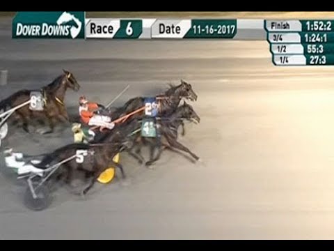 Bill's Man & Tim Tetrick wins Matron Stakes 3 yo colt & geldings in 1:52,2 (1.09,9) at Dover Downs.