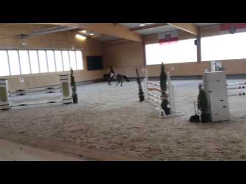 Albany Chocolate Süddeutsches Ponyhallenchampionat 2015