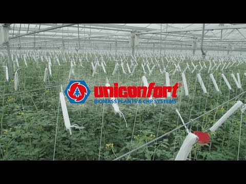 Cogeneration Plant for a Tomato Greenhouse