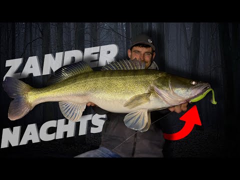 Raubfischkontakt and lass_angeln