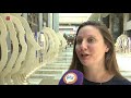 Actiegroepen tegen Lelystad Airport: minister schoffeert de burger
