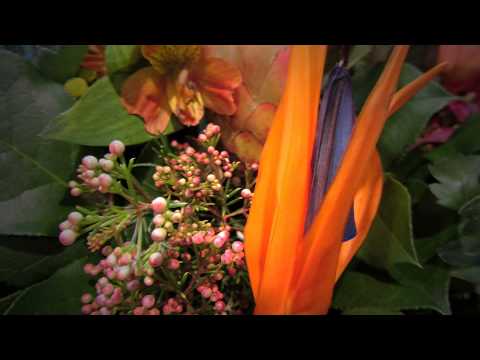 Opwekking 233 Koning Jezus Heers over alle Natiën