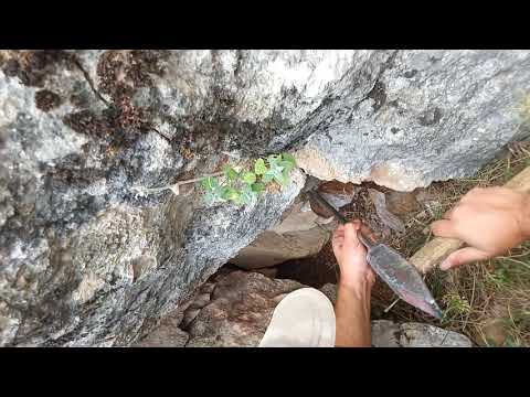 Define Kıssasını Açtık Bakın Ne Çıktı !!!