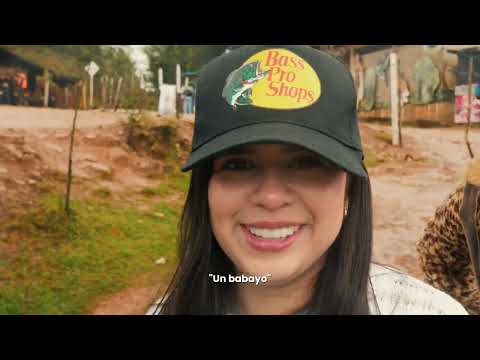 🎬 Etnografía de Cácota: Un Relato Visual de sus Tradiciones