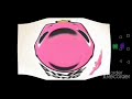 Pinkfong In 3 0 I Killed