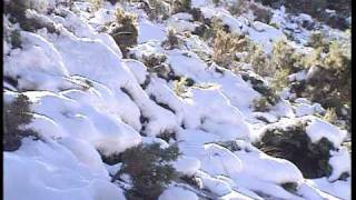 preview picture of video 'Mini-Documental: La Sierra de las Nieves'