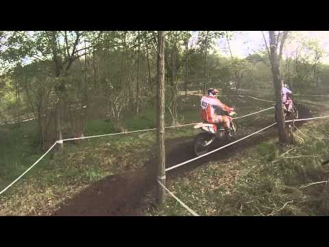 XXXI. Királyválasztó Piliscsév 1órás futam