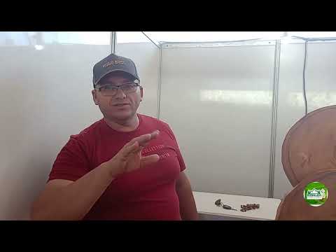 Como ficou o local da festa da carne de sol de Picuí PB 