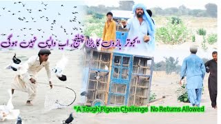 Download lagu Pigeon Fanciers Challenge No Pigeons Will Be Returned Tough Pigeon Challenge – No Returns Allowed mp3 Download lagu Pigeon Fanciers Challenge No Pigeons Will Be Returned Tough Pigeon Challenge – No Returns Allowed mp3