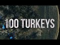100 Turkeys Higdon Short Films
