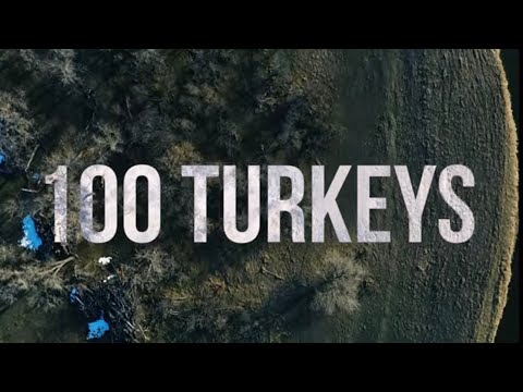 "100 Turkeys" - Higdon Short Films