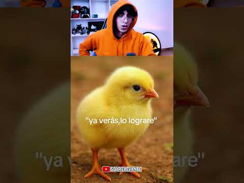 SI LLORAS PIERDES 😭💔 #mrrelevante #videojuegos