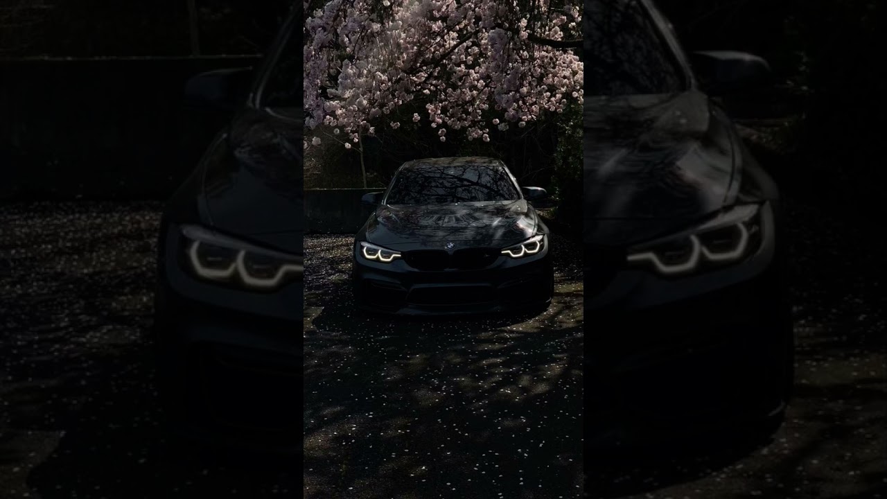 Beauty & The Beast: Black BMW M4 Under Cherry Blossoms 🌸🖤 | FREE 4K Wallpaper