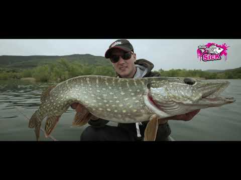 Shad Berkley Sick Vibe 9cm Hot Firetiger