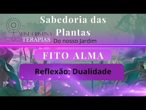 Reflexão sobre a  dualidade do ser (#video 64)