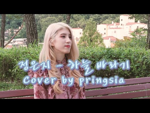 아이콘