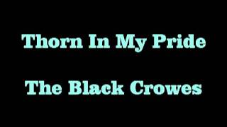 Thorn In My Pride   Black Crowes