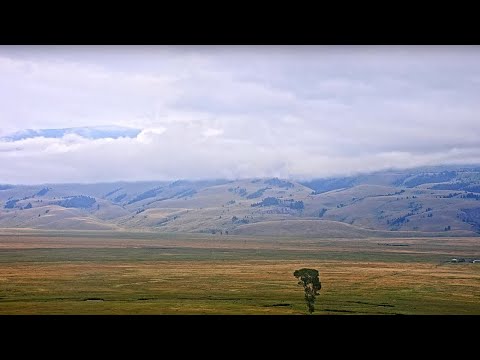 The National Elk Refuge live webcam