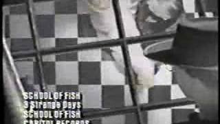 School of Fish - Three Strange Days