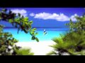 Pantha Vibes International {2010} - Anguilla HD