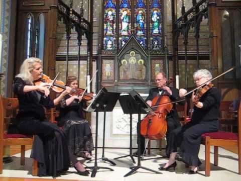 Promotional video thumbnail 4 for Strings of Choice