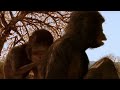 Walking With Beasts Previous Episode Of With An Alternative Ending