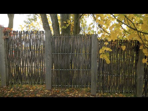 Ramo écrans verts - Clôtures de saules - Écrans d'intimité