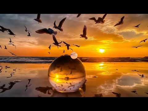 Obstinado Amor - Maribel Soto