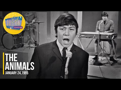 The Animals Greatest Hits Tour | Newcastle gig & event guide The Animals Greatest Hits Tour | Newcastle gig & event guide