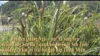 preview picture of video 'Trăm cây thiên tuế trỗ Hoa - âu là đại Phúc ? by ddhung'