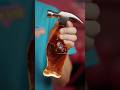 How To Sneak A Giant Gummy Cola Bottle Into A Movie Theater