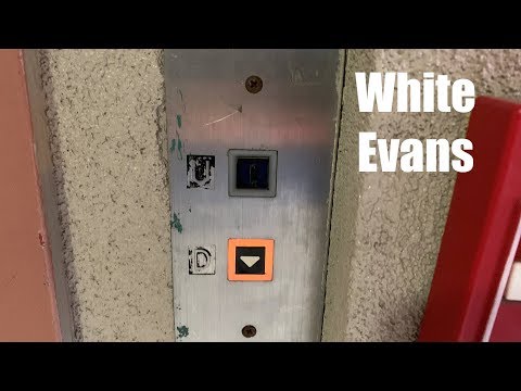 1981 White Evans Hydraulic Elevator @ Days Inn - Springfield, MO