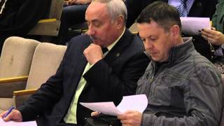 Выборы в Общественную палату города Бронницы