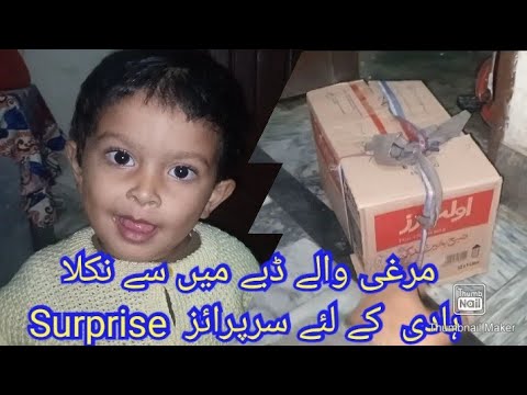 Doberman Female Pup B Pohanch Gaya Hamaray Pass😍😍 Abdul Hadi Ko Melaa Surprise Box Main Say🤠