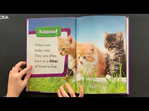 Baby Cats by Bethany Olson AR level 1.4 Quiz #162344